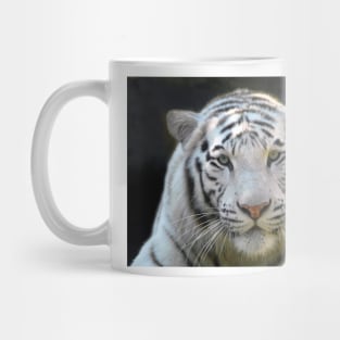 White Face Tiger Mug